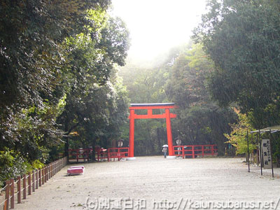 下賀茂神社境内