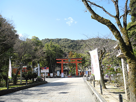 松尾大社参道