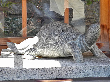 幸運の撫で亀