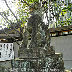 車折神社狛犬