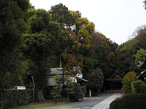 木嶋神社境内