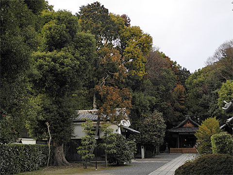 木嶋神社境内