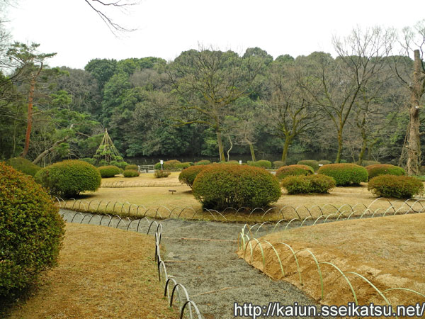 隔雲停から見た光景