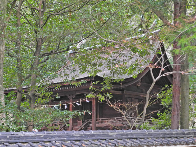 神谷神社本殿