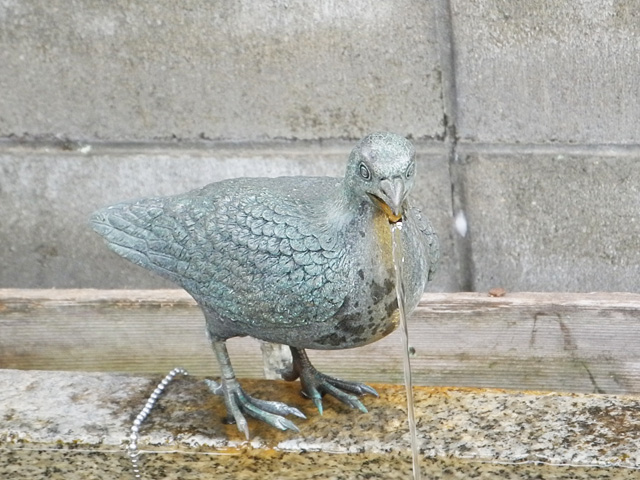 手水舎の鳩