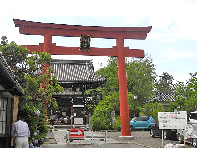 梅宮大社鳥居