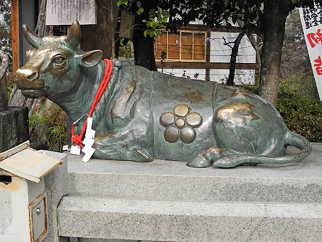 長岡天満宮金の牛