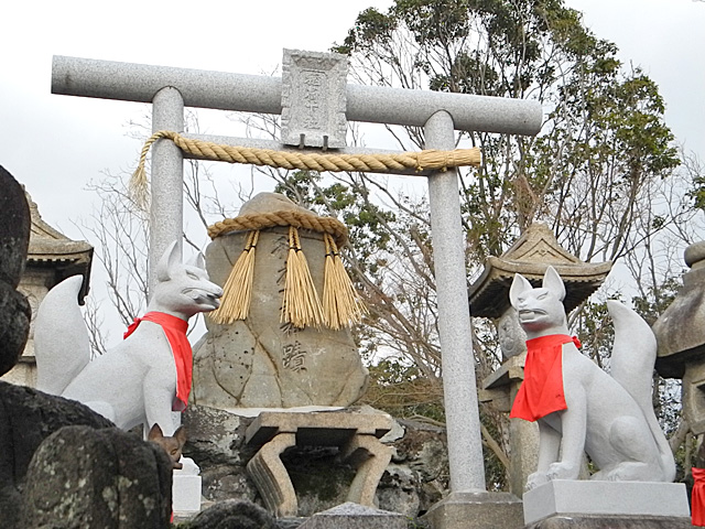 白菊大神