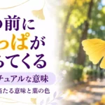 葉っぱが落ちるスピリチュアルなわけ