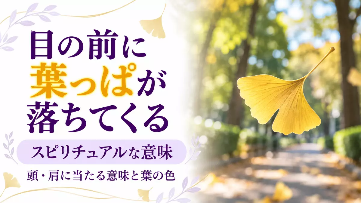 葉っぱが落ちるスピリチュアルなわけ