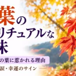 紅葉のスピリチュアル